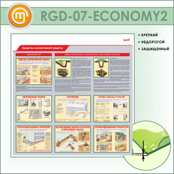     (RGD-07-ECONOMY2)